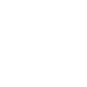 vehicle-inspection